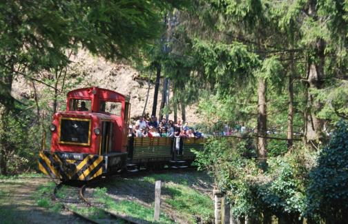 Поездка в Сильвашварад