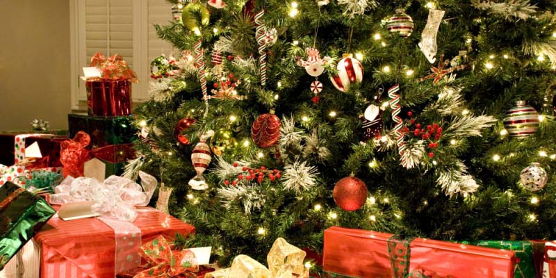 Рождественская елка для русскоговорящих детей Венгрии