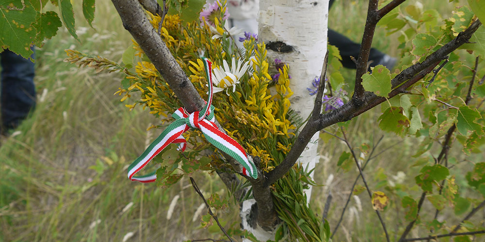 Место кладбища лагеря 1852