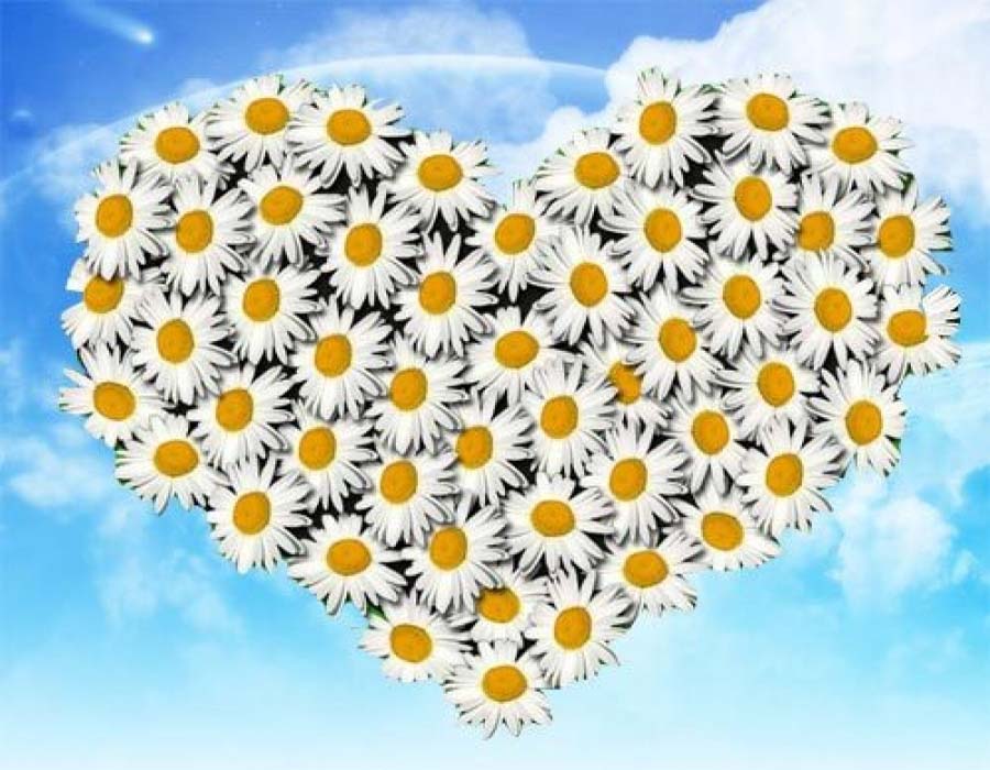 День семьи, любви и верности в Венгрии