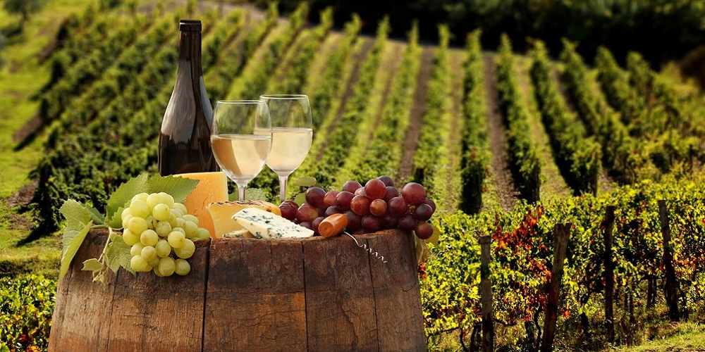 Международная научно-практическая конференция «Вино в культуре - культура вина»