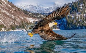 Причины для надежды