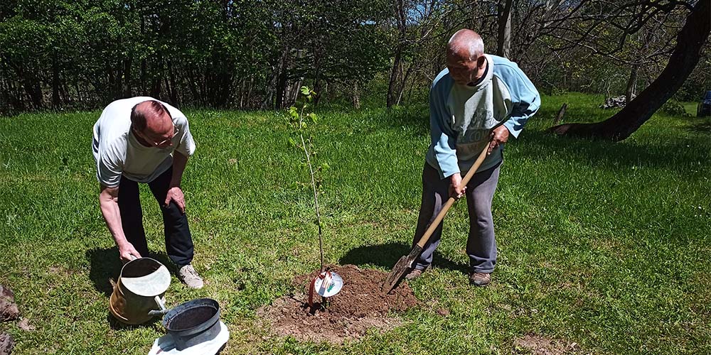Международная акция «Сад памяти» в Венгрии