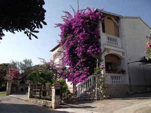 Свети-Филипп-и-Яков